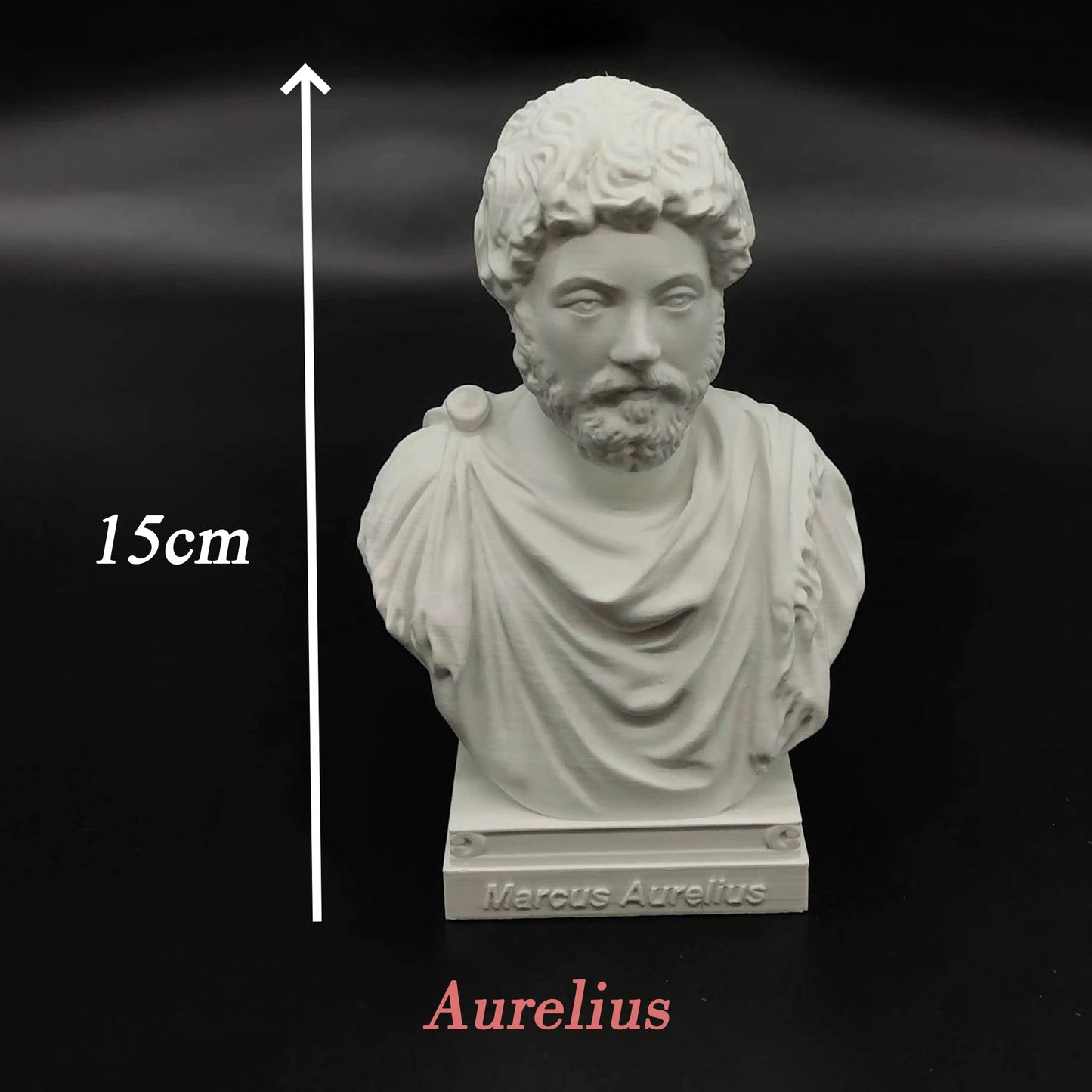 Roman Emperor Busts – Nero, Marcus Aurelius, Augustus, Diocletian & Constantine