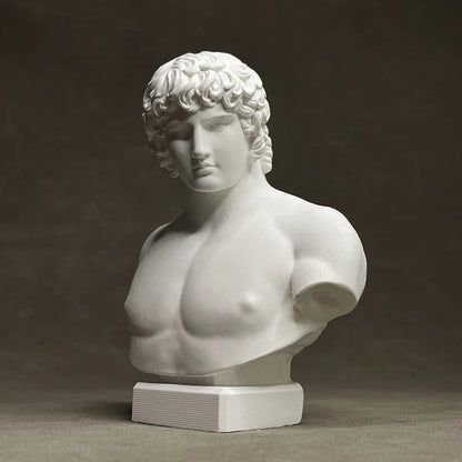 Bust of Antinous – Roman Imperial Replica