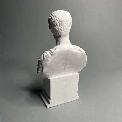 Bust of Julius Caesar – Plaster Reproduction after Andrea Ferrucci (The Met, ca. 1512–1514)