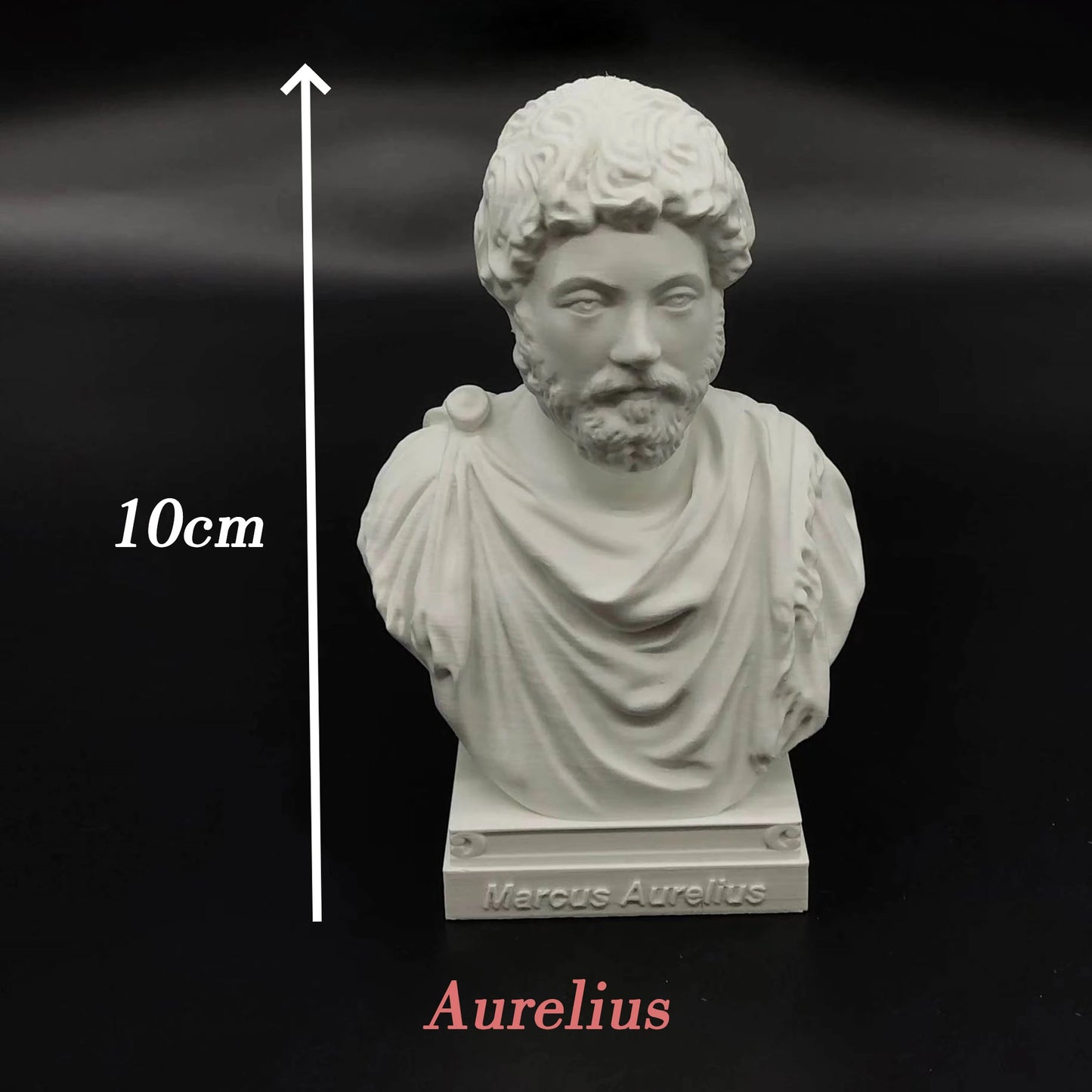 Roman Emperor Busts – Nero, Marcus Aurelius, Augustus, Diocletian & Constantine