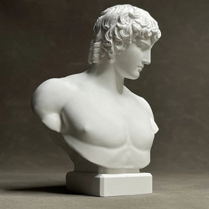 Bust of Antinous – Roman Imperial Replica